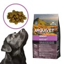 Arquivet Adult jagnięcina z ryżem 3 kg