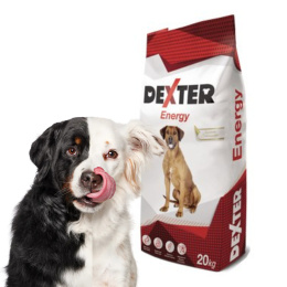 Dexter Energy karma dla psów aktywnych 20kg