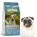 Divinus Adult mini dla ras małych 10kg