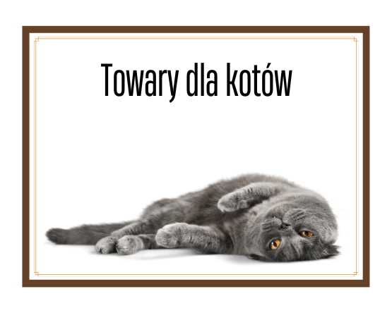 Towary dla kotów